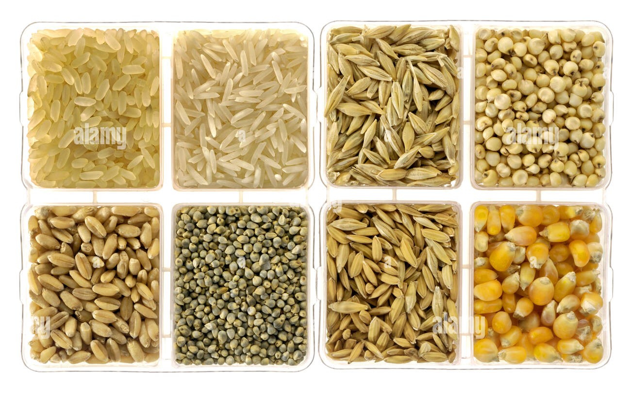 Plant agriculture overview